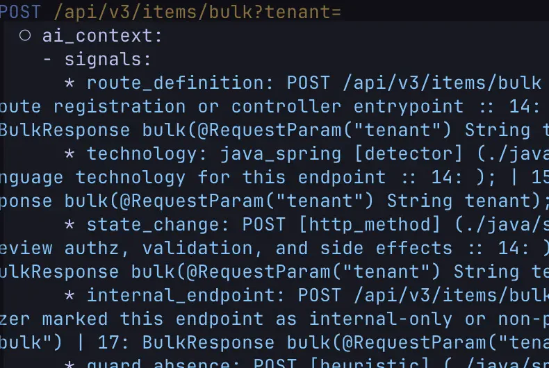 Per-endpoint AI context: the route definition, the detected framework, and the signals a reviewer should check.