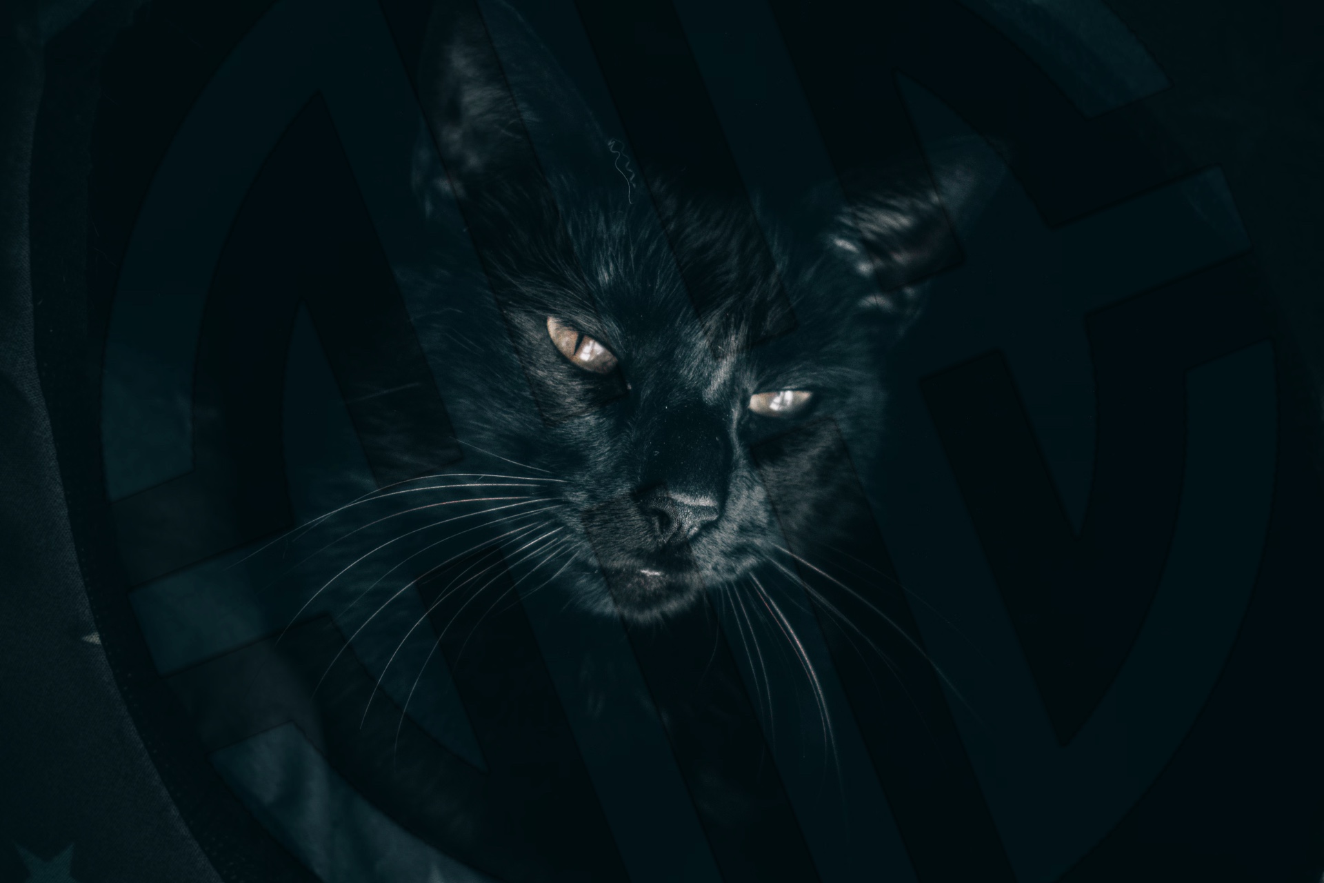 Hero Background
